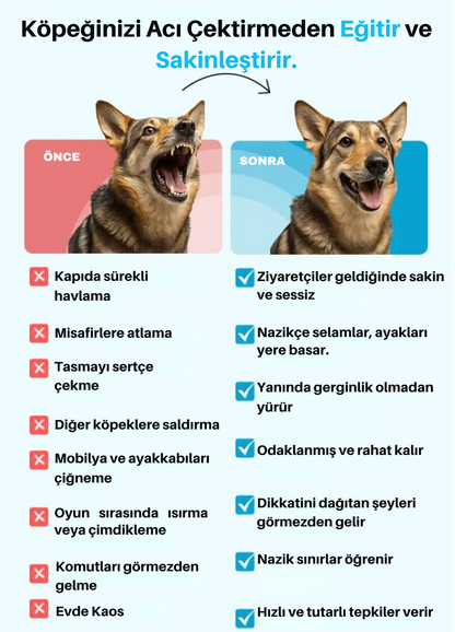 CalmiPati® Köpek ve Kedilerde kötü davranışları nazikçe durduran akıllı eğitim cihazı